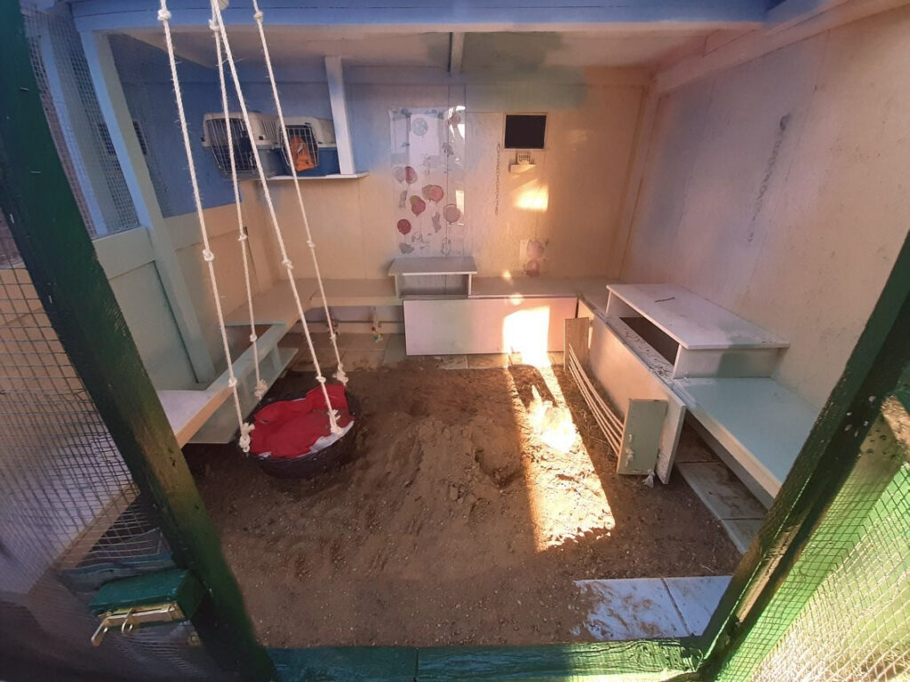 Urlaubsbetreuung Wien Kaninchen Meerschweinchen Außengehege Innengehege Tierpension Tiersitter