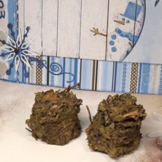 Xmas Salatling Haselnussblatt mit Radicchio