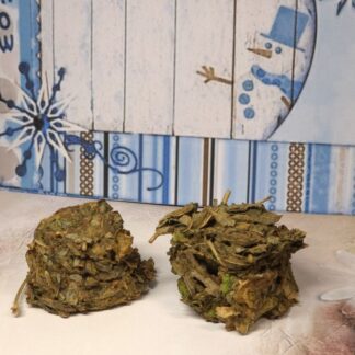 Xmas Salatling Johannisblatt mit Romanasalt