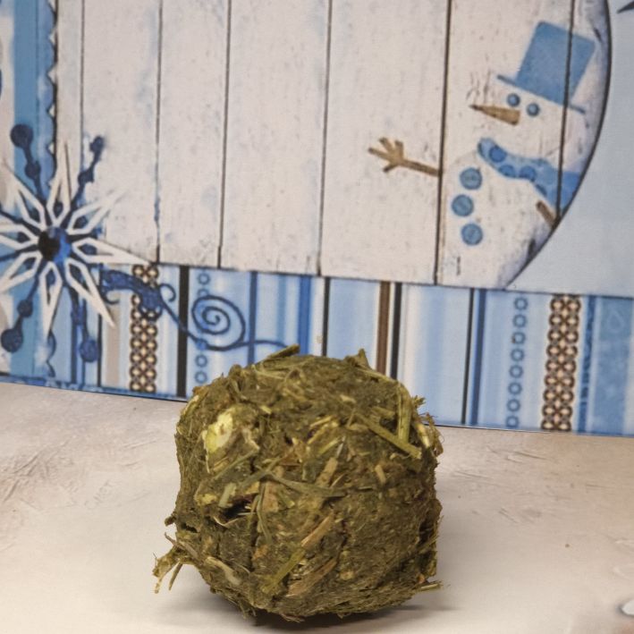 Xmas Snack Luzerne mit Gemüse