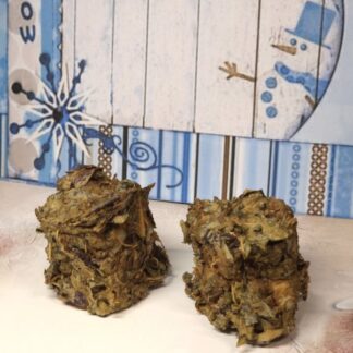 Xmas Salatling Mirabellenblatt mit Feldsalat