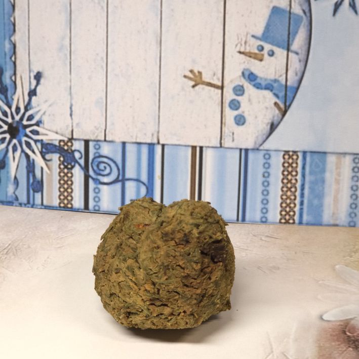 Xmas Snack Stangensellerie mit Gurke