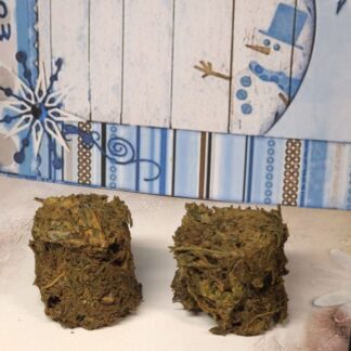 Xmas Salatling Stangensellerie mit Lollo Rosso