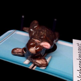 Kühlschrankmagnet 38