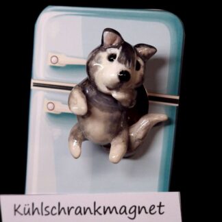 Kühlschrankmagnet 32