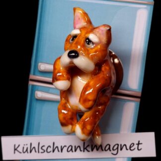 Kühlschrankmagnet 30