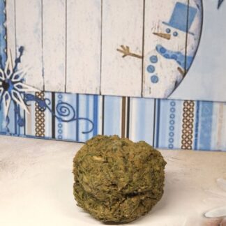 Xmas Snack Mariendistelkraut mit Kerbel