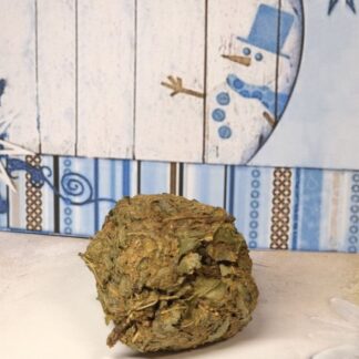 Xmas Snack Mirabellenblatt Dillsamen