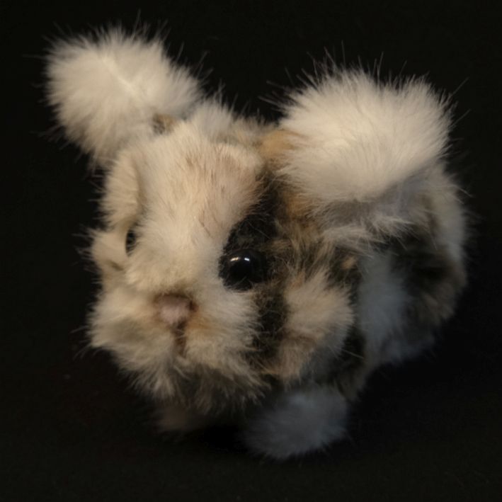 Flauschtier Kaninchen – Bild 5