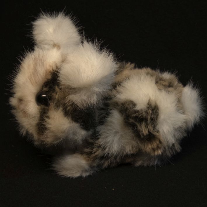 Flauschtier Kaninchen – Bild 4