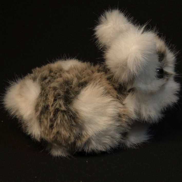 Flauschtier Kaninchen – Bild 2