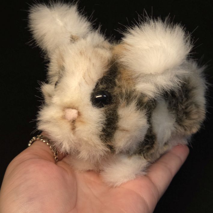 Flauschtier Kaninchen