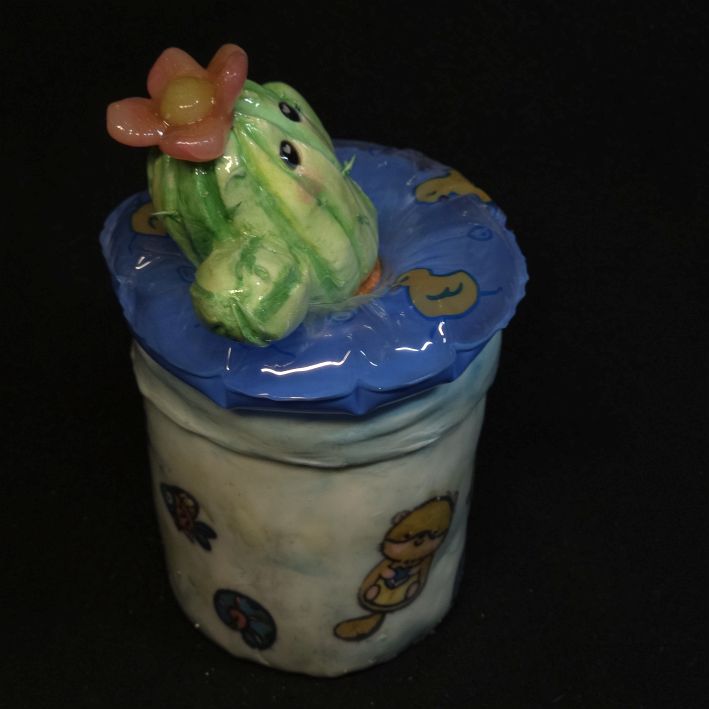 Schwimmreifen Kakteentopf 1 – Bild 4