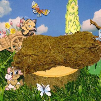 Knuspermatte Echinacea