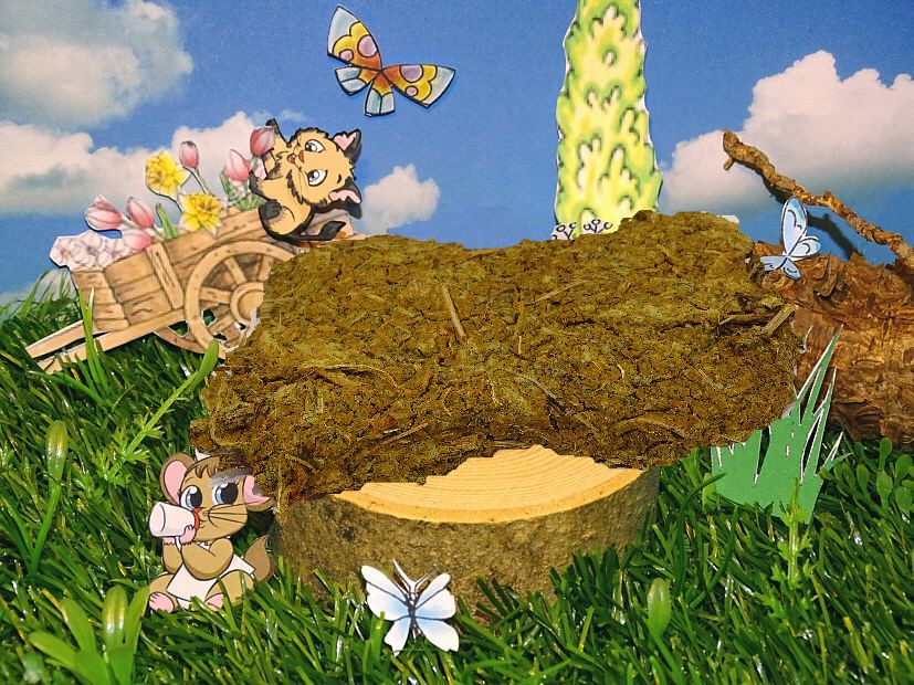 Knuspermatte Echinacea