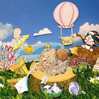 Mandelbussi - Holz mit Löwenzahn 12erSet