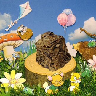 Neu - Salatling Mirabellenblatt mit Feldsalat