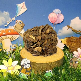 Snacky Echinacea mit Gurke