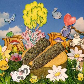 2 Würmchen aus Walderdbeerblätter